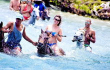 SNL Jamaican Tours Ltd21