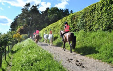 SNL Jamaican Tours Ltd23