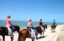 SNL Jamaican Tours Ltd38
