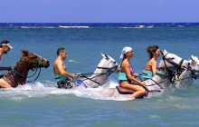 SNL Jamaican Tours Ltd42