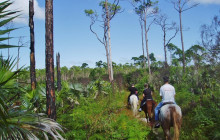SNL Jamaican Tours Ltd47