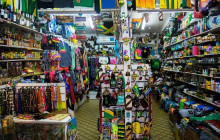 SNL Jamaican Tours Ltd19