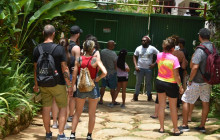 SNL Jamaican Tours Ltd4