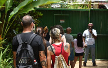 SNL Jamaican Tours Ltd7