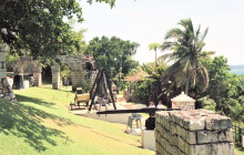 SNL Jamaican Tours Ltd17