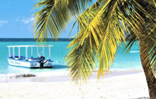 SNL Jamaican Tours Ltd7
