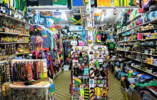 SNL Jamaican Tours Ltd29