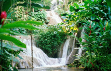 SNL Jamaican Tours Ltd8