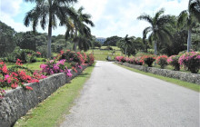 SNL Jamaican Tours Ltd40