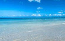SNL Jamaican Tours Ltd23