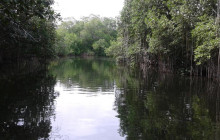 SNL Jamaican Tours Ltd8