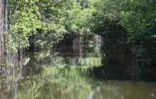SNL Jamaican Tours Ltd24