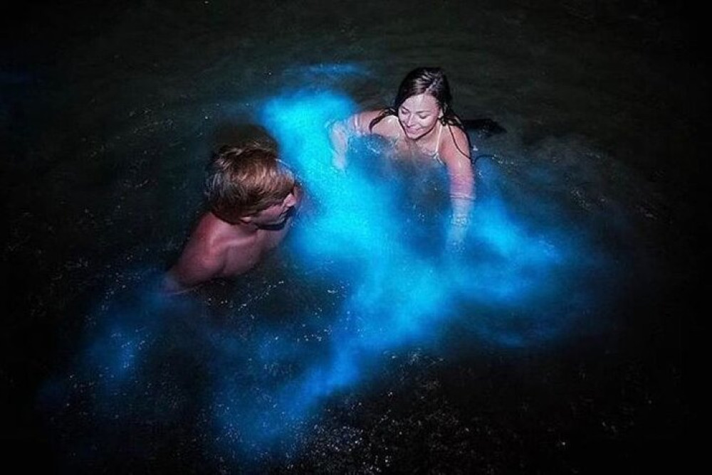 Luminous Lagoon