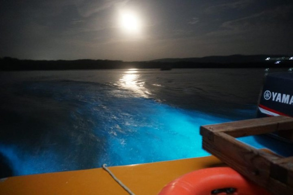 Luminous Lagoon Glistening Waters Tour From Montego Bay Hotels