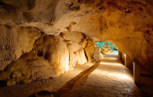 SNL Jamaican Tours Ltd1