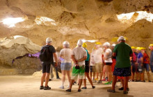 SNL Jamaican Tours Ltd2