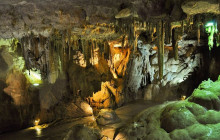 SNL Jamaican Tours Ltd36