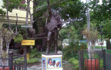 SNL Jamaican Tours Ltd2