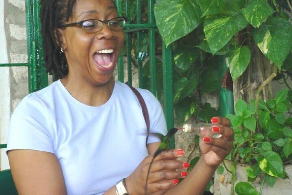 Rocklands Bird Sanctuary & City Highlights From Montego Bay