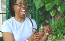 SNL Jamaican Tours Ltd1
