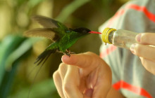 SNL Jamaican Tours Ltd7