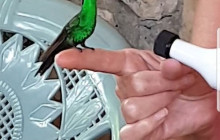 SNL Jamaican Tours Ltd29