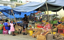 SNL Jamaican Tours Ltd40
