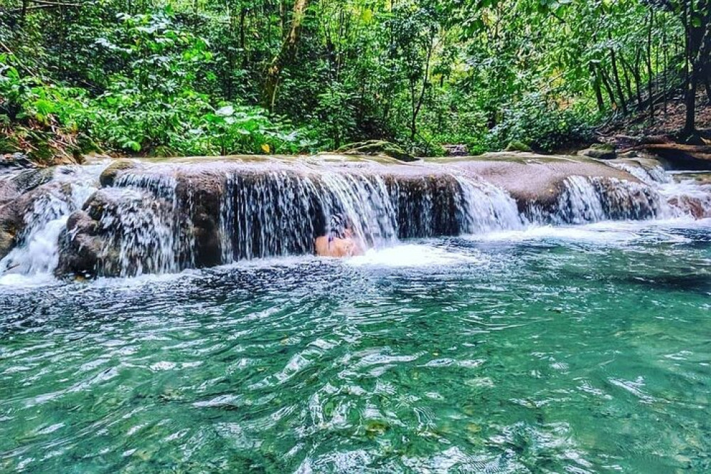 Dunn's River Falls & Luminous Lagoon Tour with Admission From Falmouth