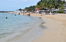 SNL Jamaican Tours Ltd4