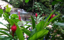 SNL Jamaican Tours Ltd27