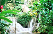 SNL Jamaican Tours Ltd36