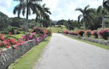 SNL Jamaican Tours Ltd48