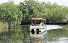 SNL Jamaican Tours Ltd10