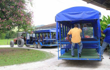 SNL Jamaican Tours Ltd15