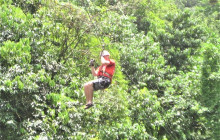 SNL Jamaican Tours Ltd6