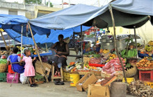 SNL Jamaican Tours Ltd13