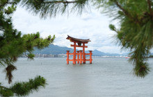 Japan Tour Adventure1