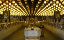 Japan Tour Adventure4