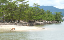 Japan Tour Adventure7