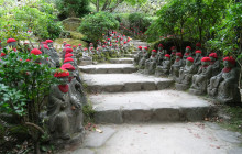 Japan Tour Adventure8