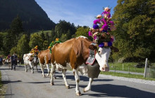 Swiss Epic Tours4