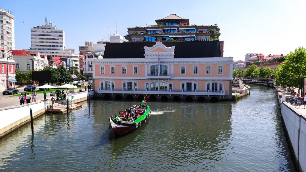 Private Journey from Douro Valley to Lisbon with Heritage Stops
