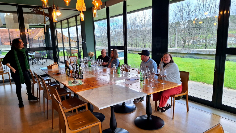 Coimbra & Bairrada Tour From Porto With University & Wine Tasting