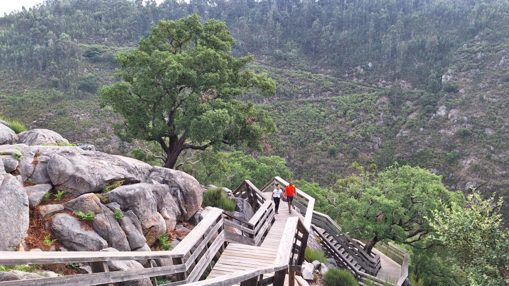 From Porto: Private 516 Arouca Bridge and Paiva Walkways Day Trip