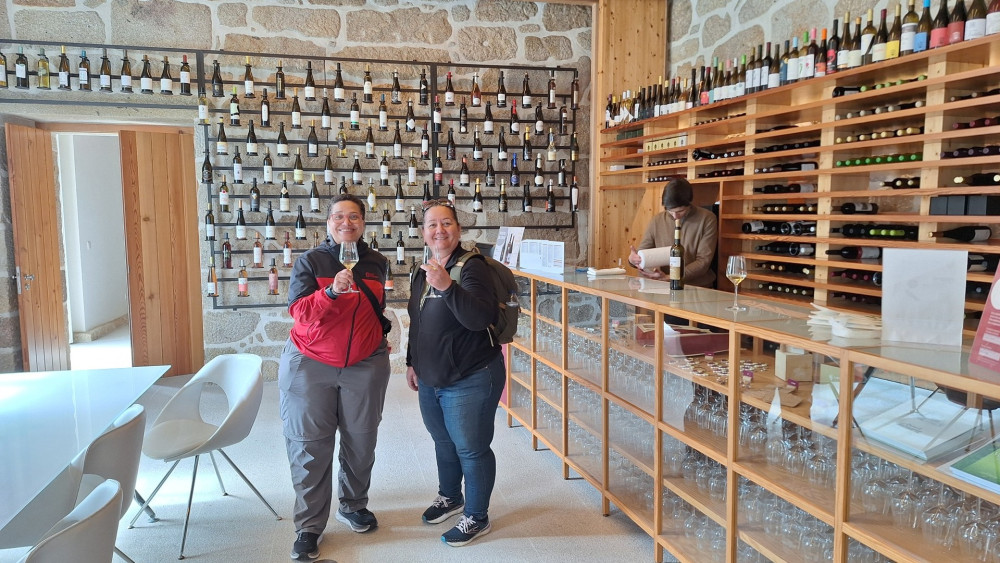 Private Minho Tour From Porto: Ponte De Lima, Vinho Verde And Viana