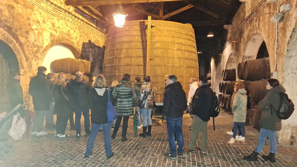 Private Porto Full-day Tour: Cathedral, Lello And Atlantic Coast
