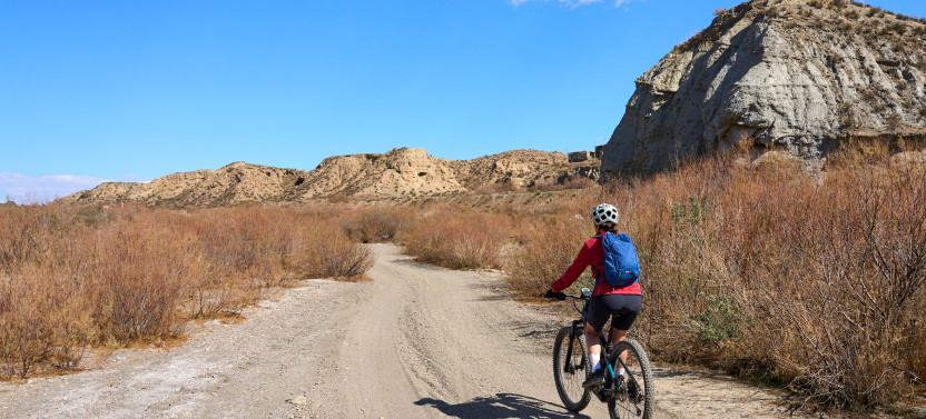 Hardtail Step-Thru E-Bike Endurance Ride