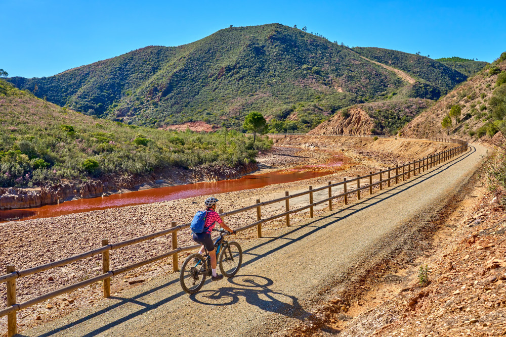 Moab E-bike Day Cruiser