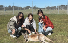 Newy Tour Co3