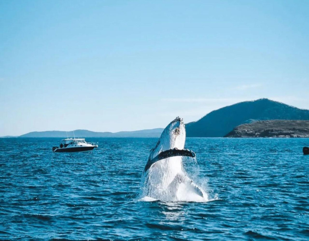 Private Port Stephens Winter Adventure with Hike & Whale Watching